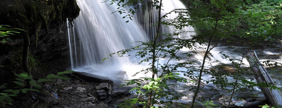 在线手机号呼死你