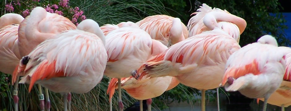 实实在在创收的电话在线压测平台